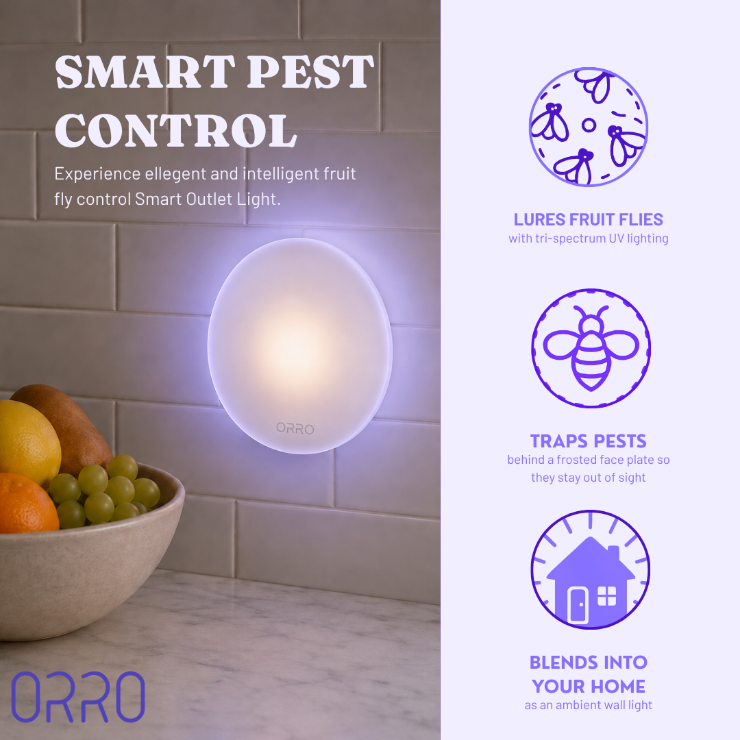 ORRO Indoor Fruit Fly & Gnat Trap, Plug-In Flying Insect Light with Tri-Spectrum LEDs, Automatic Night Mode, Hidden Sticky Cartridge, Warm Night Light, 6 Refills, White